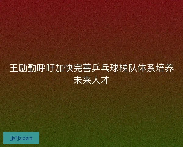 王励勤呼吁加快完善乒乓球梯队体系培养未来人才